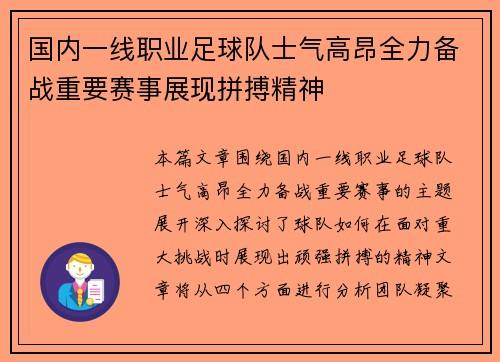国内一线职业足球队士气高昂全力备战重要赛事展现拼搏精神