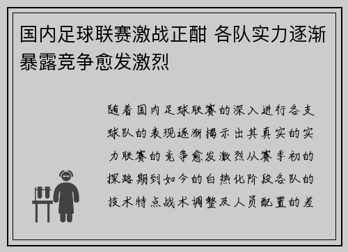 国内足球联赛激战正酣 各队实力逐渐暴露竞争愈发激烈