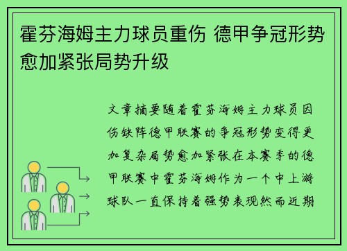 霍芬海姆主力球员重伤 德甲争冠形势愈加紧张局势升级