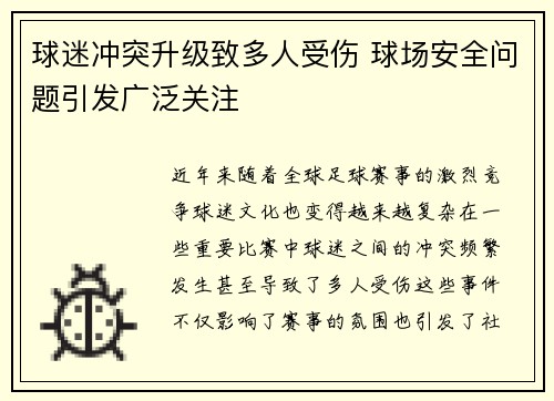 球迷冲突升级致多人受伤 球场安全问题引发广泛关注