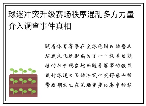 球迷冲突升级赛场秩序混乱多方力量介入调查事件真相